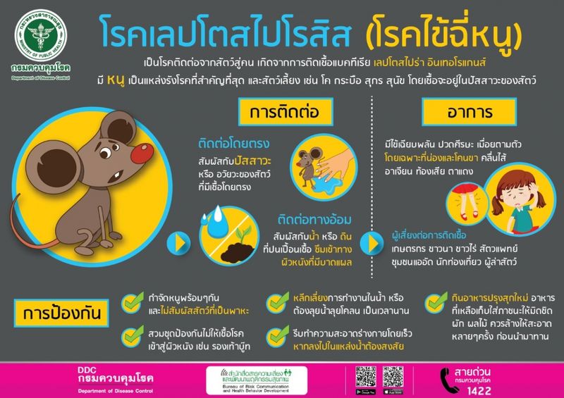 slider image 11