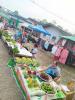 ตลาดนัดท้องถิ่นสีเขียว