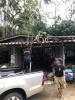 งานป้องกันและบรรเทาสาธารณภัย เทศบาลตำบลพรหมคีรี ร่วมกับเจ้าห